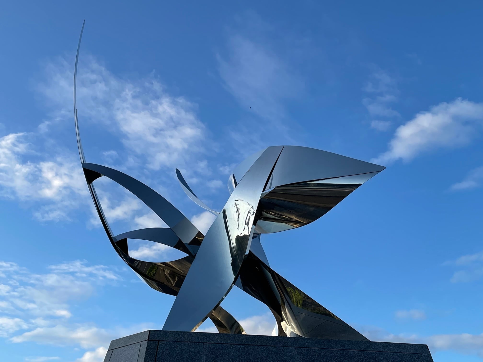 MNS-01-Morning- Perpetual Flight-II