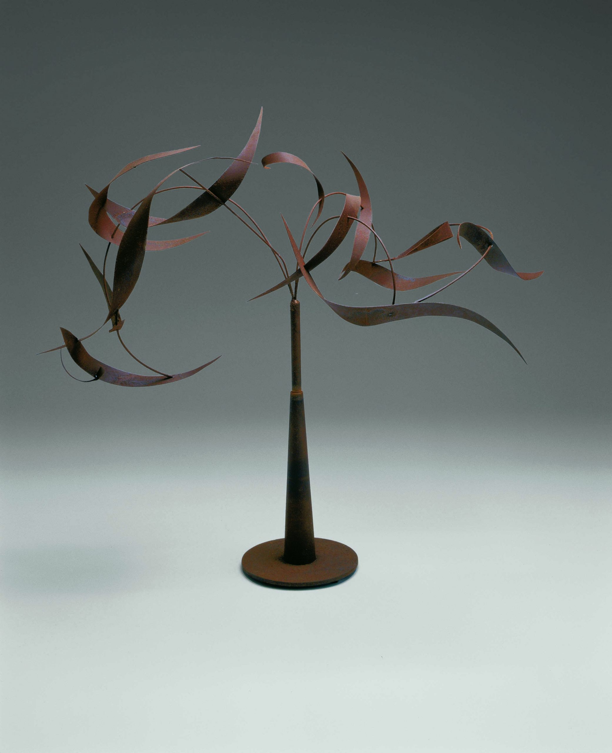 MNS-108-Centripetal Evolution-IV-047-