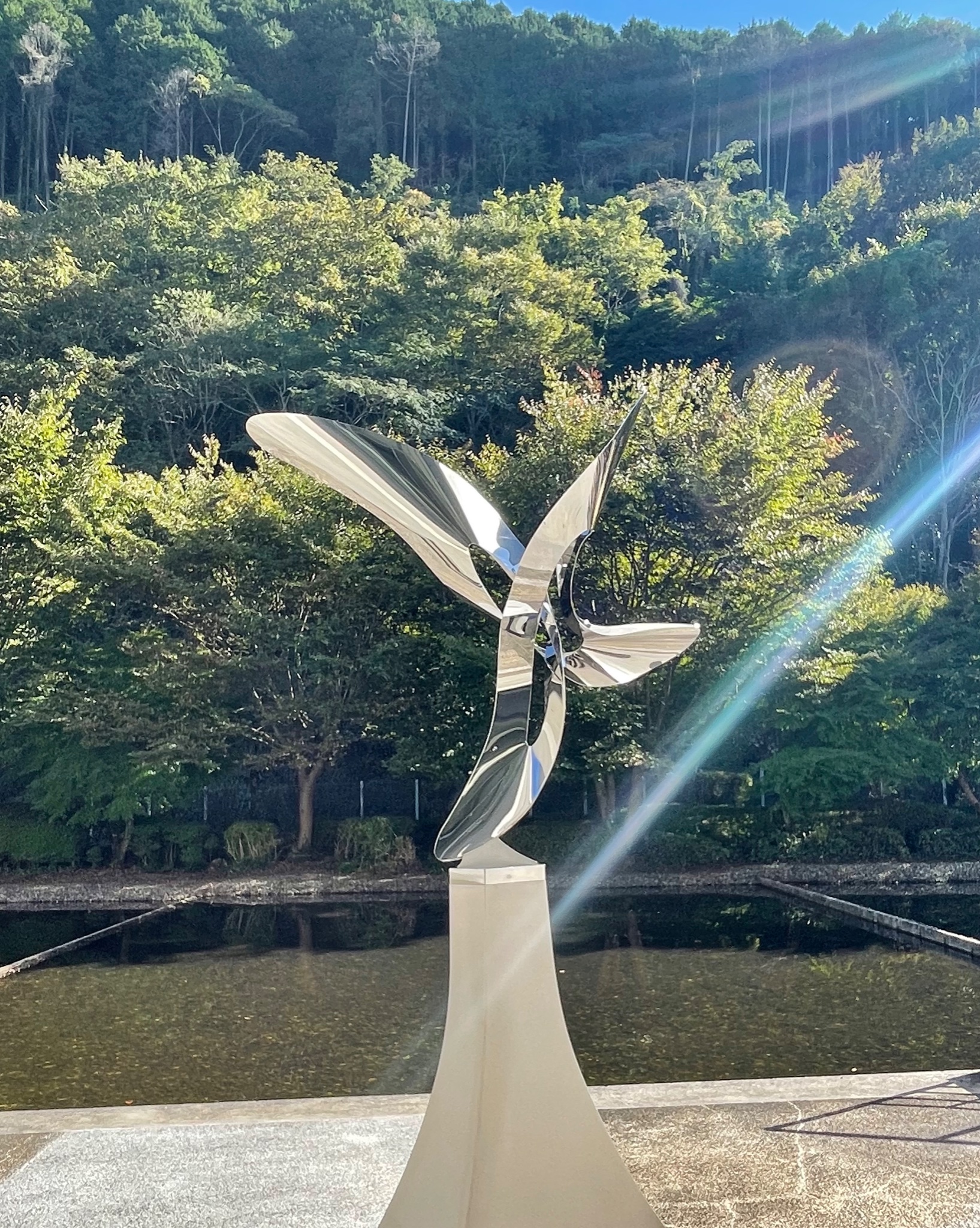 MNS-36-Evolution and Innovation sun beam